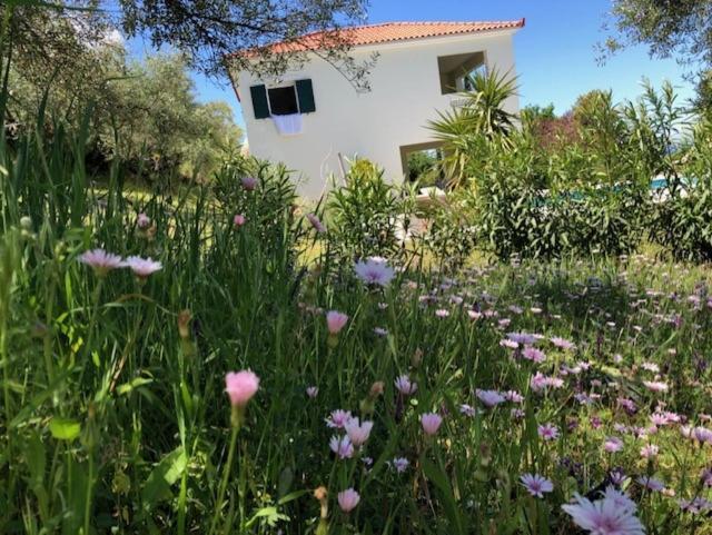 Kyparissia De Wandelboom Villa Vrises  ภายนอก รูปภาพ